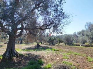 Terreno residenziale in vendita a san vito dei normanni 