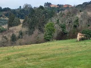 Terreno agricolo in vendita a casciana terme lari 