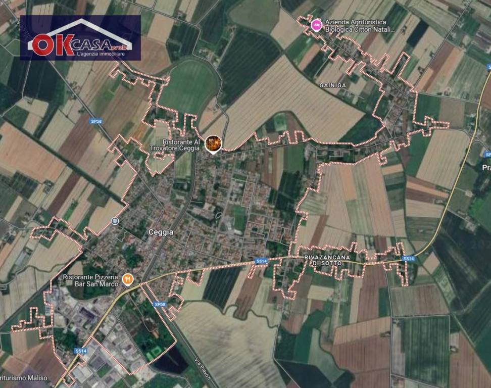 immagine annuncio 5 di 12