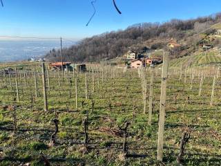 Terreno agricolo in vendita a sotto il monte giovanni xxiii via fontanella