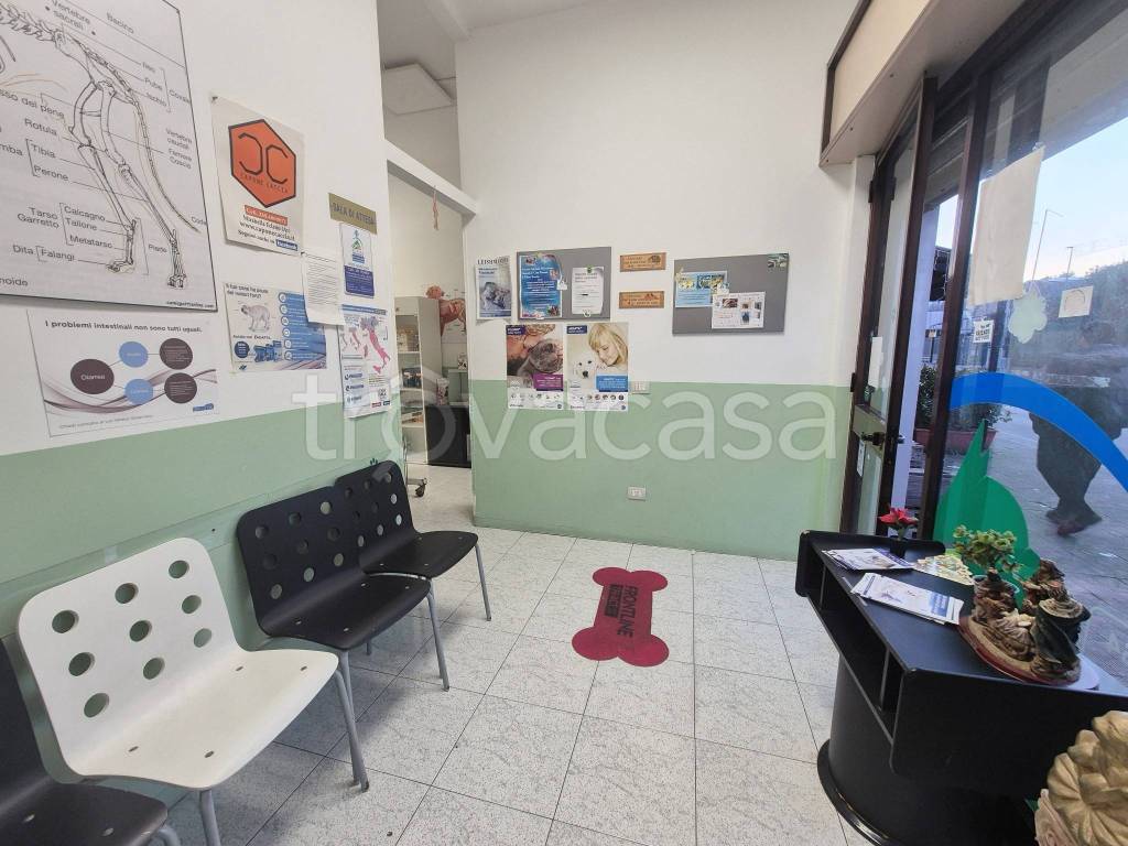 immagine annuncio 5 di 11