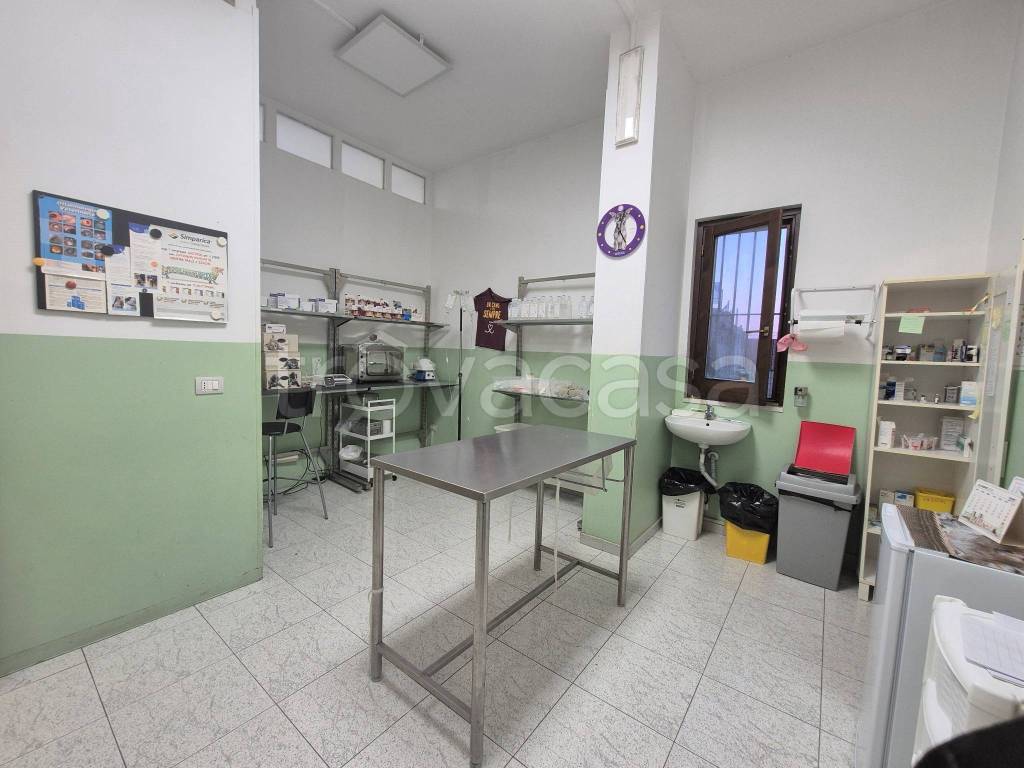 immagine annuncio 6 di 11