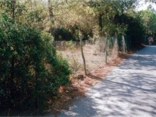 Terreno agricolo in vendita a castagneto carducci via milano