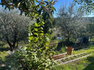 Terreno agricolo in vendita a firenze via delle masse, 46