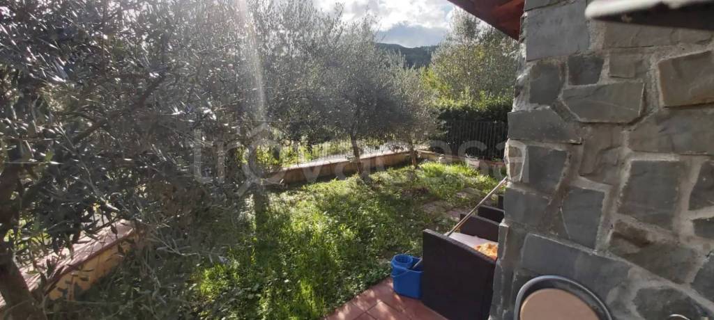 immagine annuncio 9 di 12