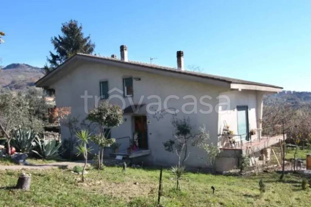 immagine annuncio 4 di 8