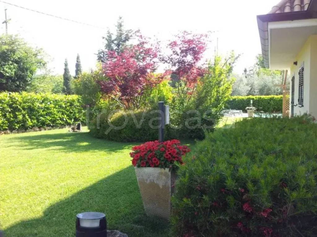 immagine annuncio 5 di 13