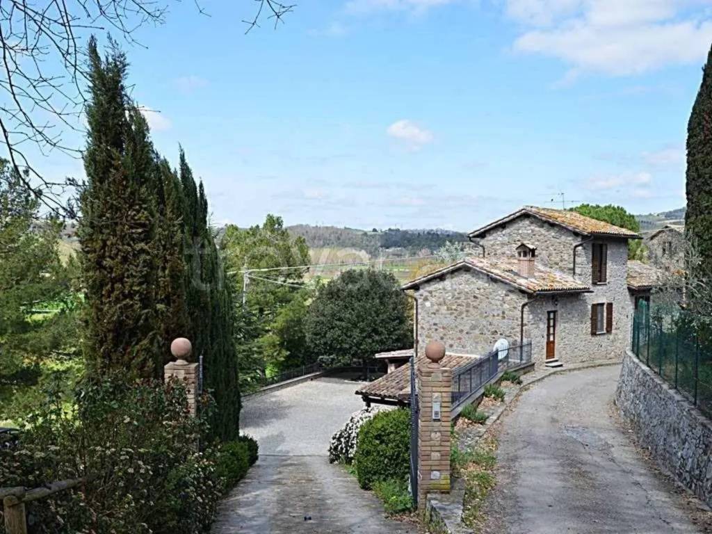 immagine annuncio 4 di 8