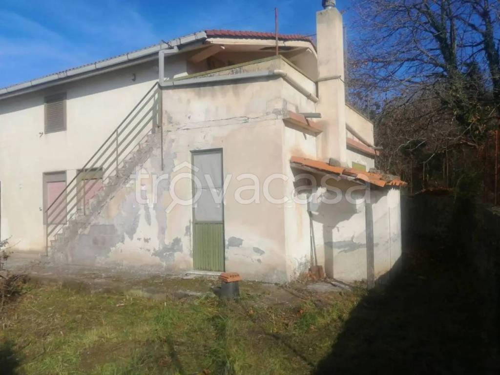 immagine annuncio 9 di 13