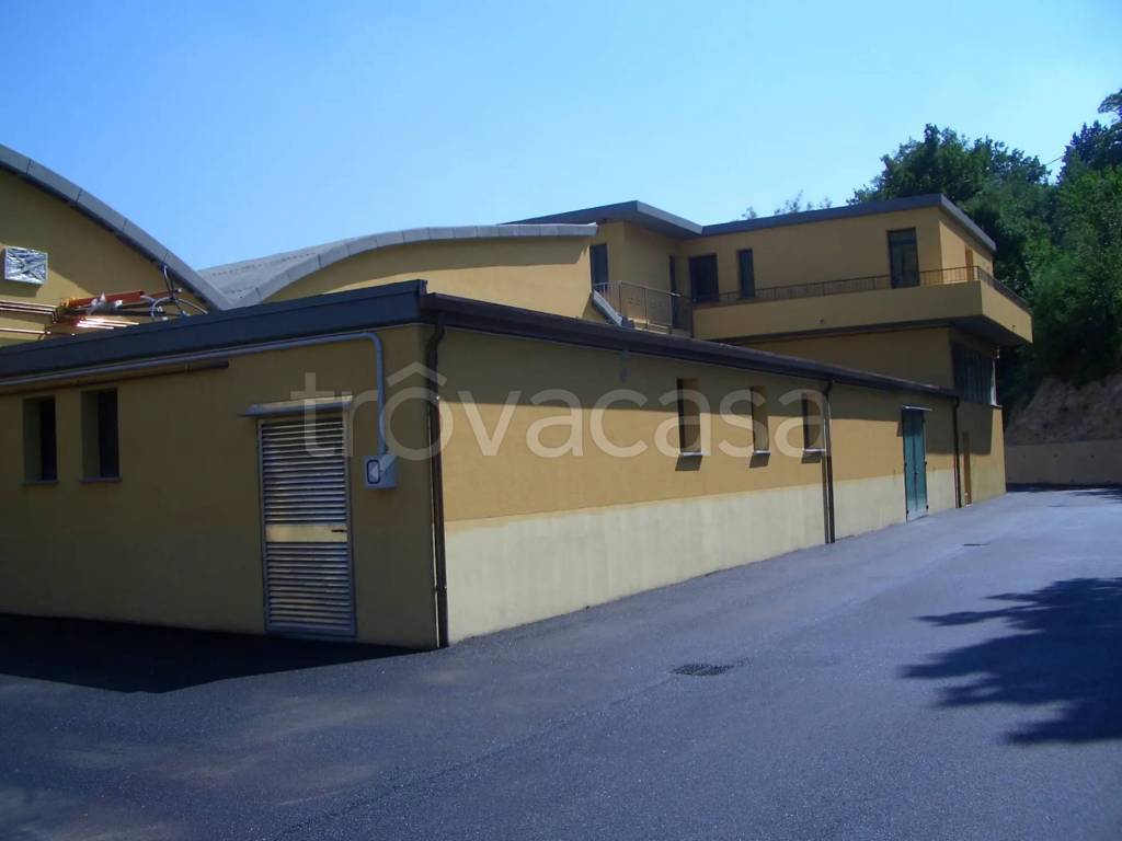 immagine annuncio 3 di 9