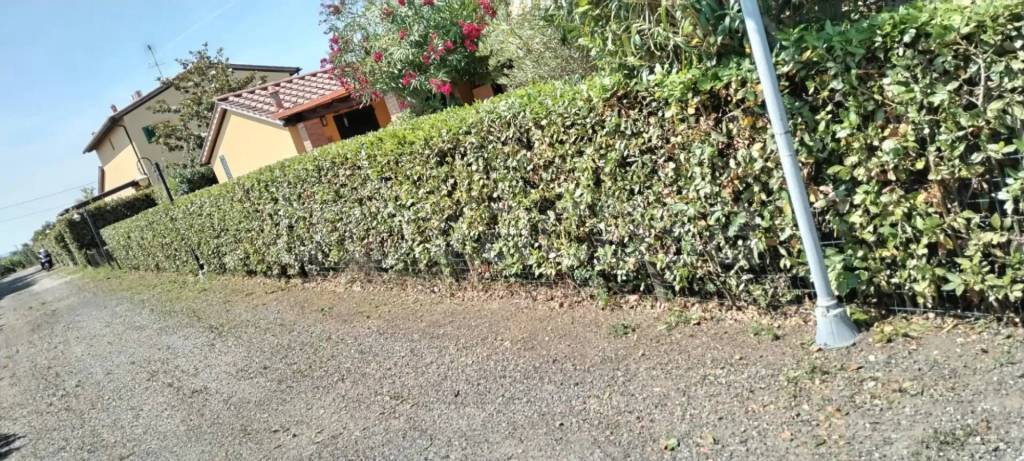 immagine annuncio 1 di 7