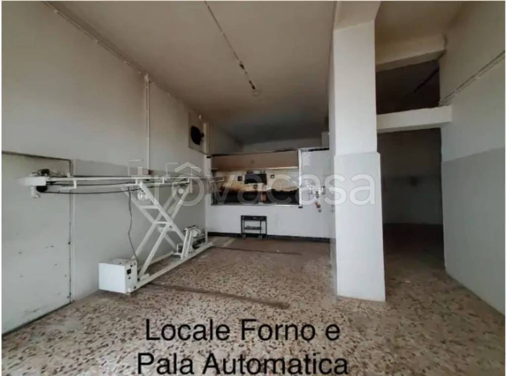 immagine annuncio 1 di 9