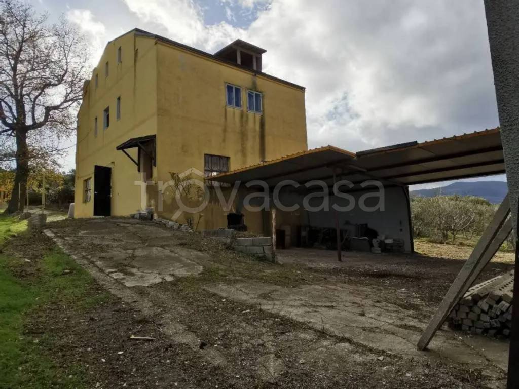 immagine annuncio 3 di 6