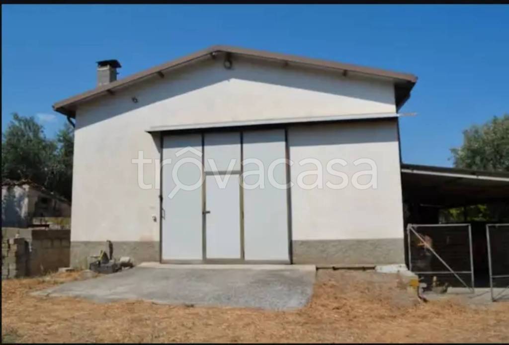 immagine annuncio 3 di 6
