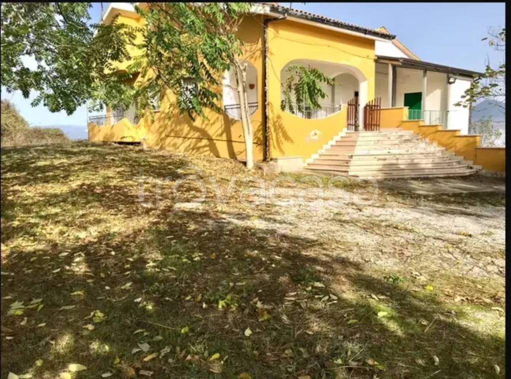 immagine annuncio 4 di 12