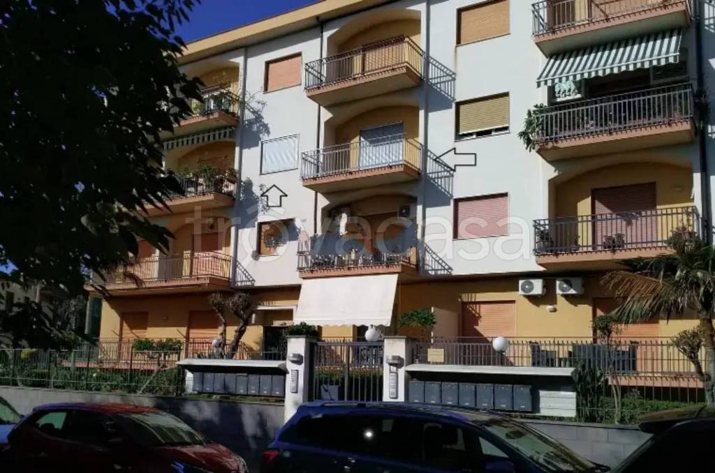 immagine annuncio 6 di 14