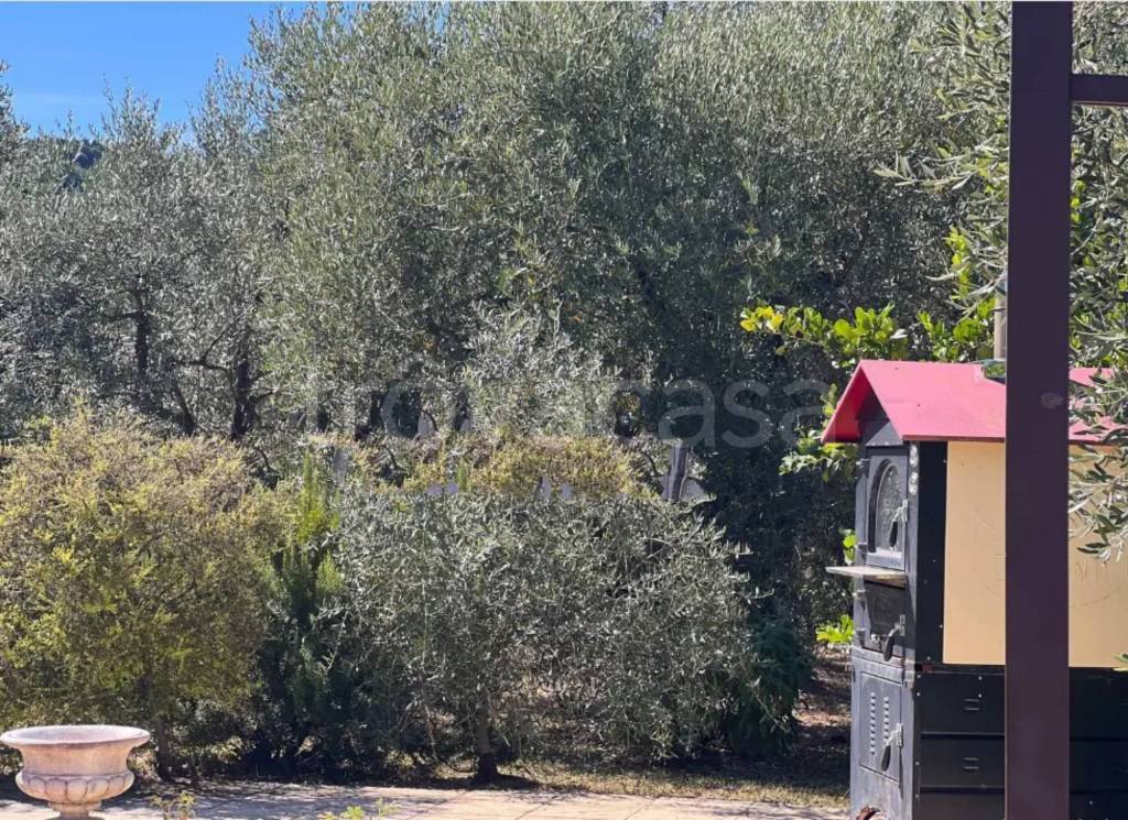 immagine annuncio 4 di 7