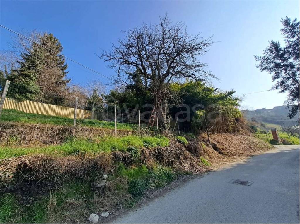 immagine annuncio 1 di 6