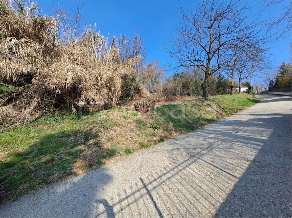 immagine annuncio 2 di 6