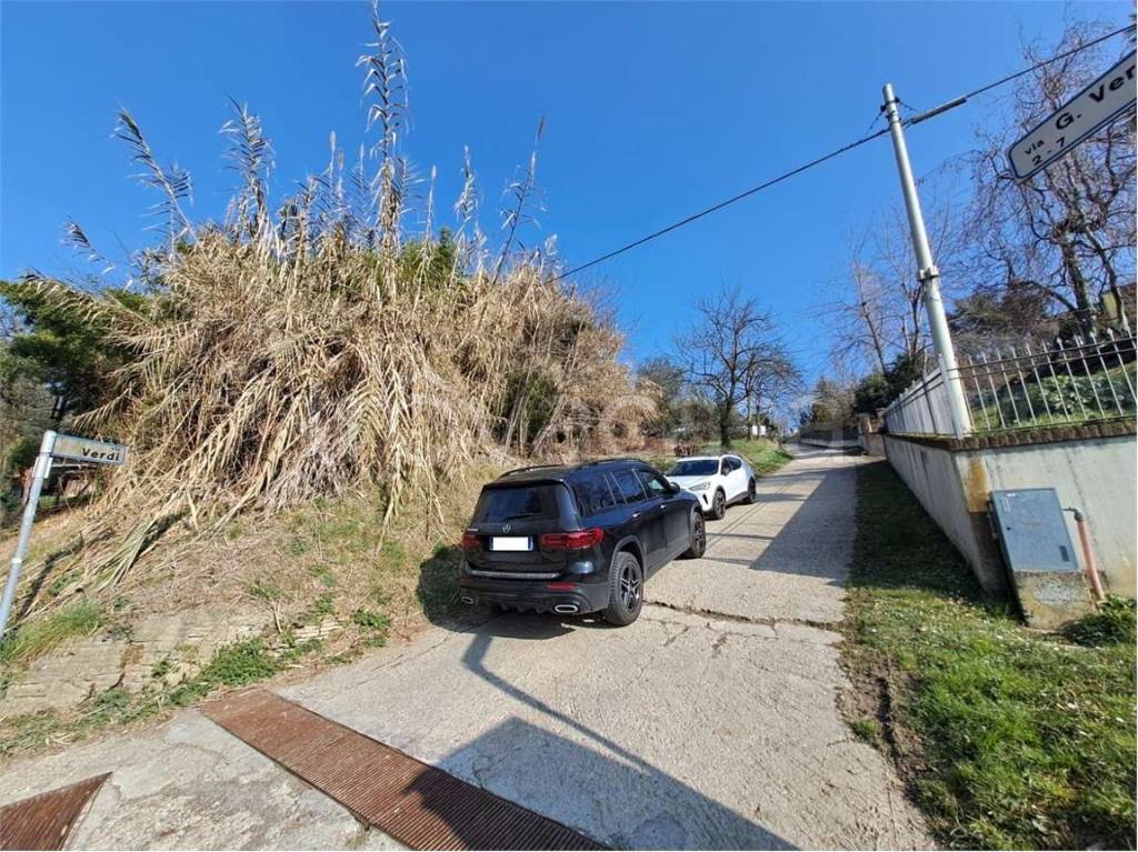 immagine annuncio 3 di 6