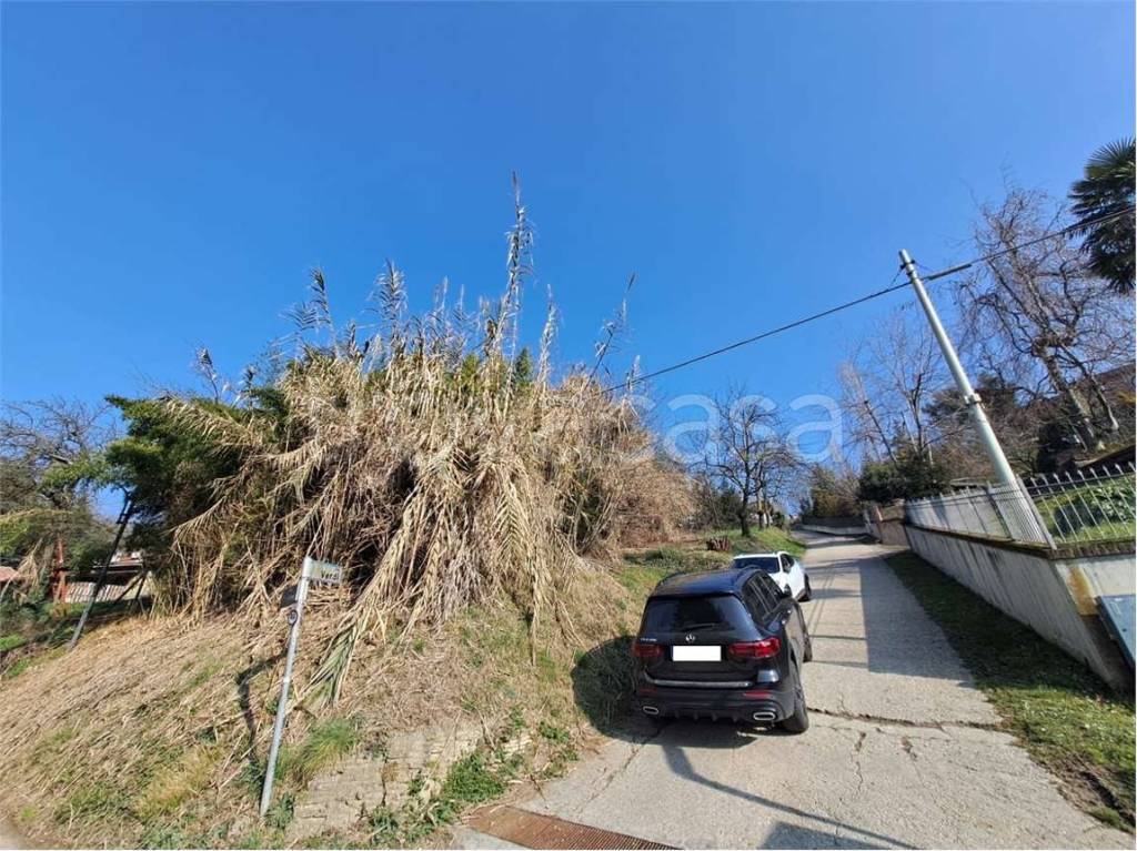 immagine annuncio 5 di 6