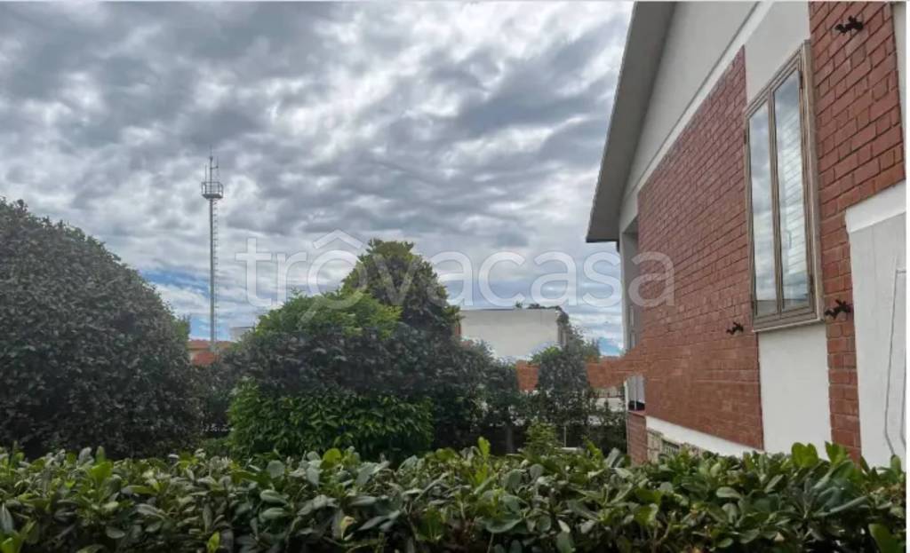 immagine annuncio 3 di 14