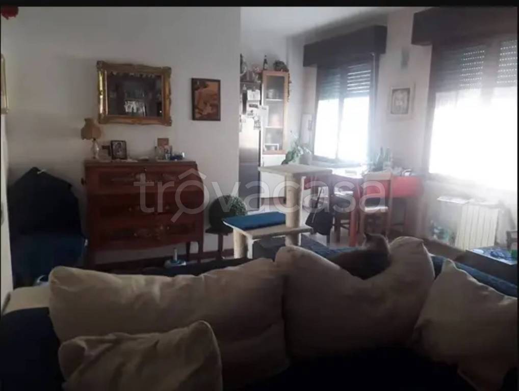 immagine annuncio 1 di 6