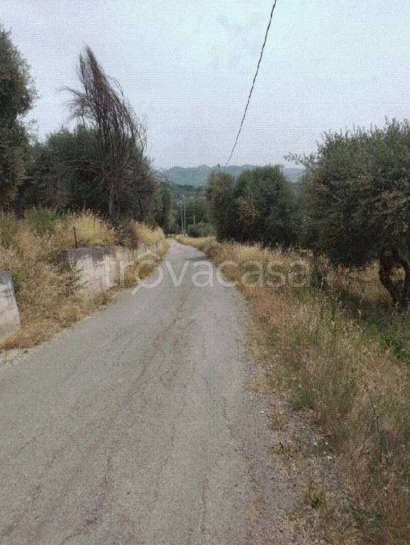 immagine annuncio 2 di 6