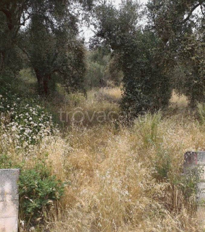 immagine annuncio 4 di 6