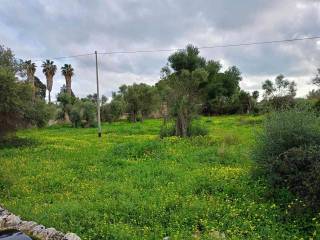 Terreno agricolo in vendita a siracusa 