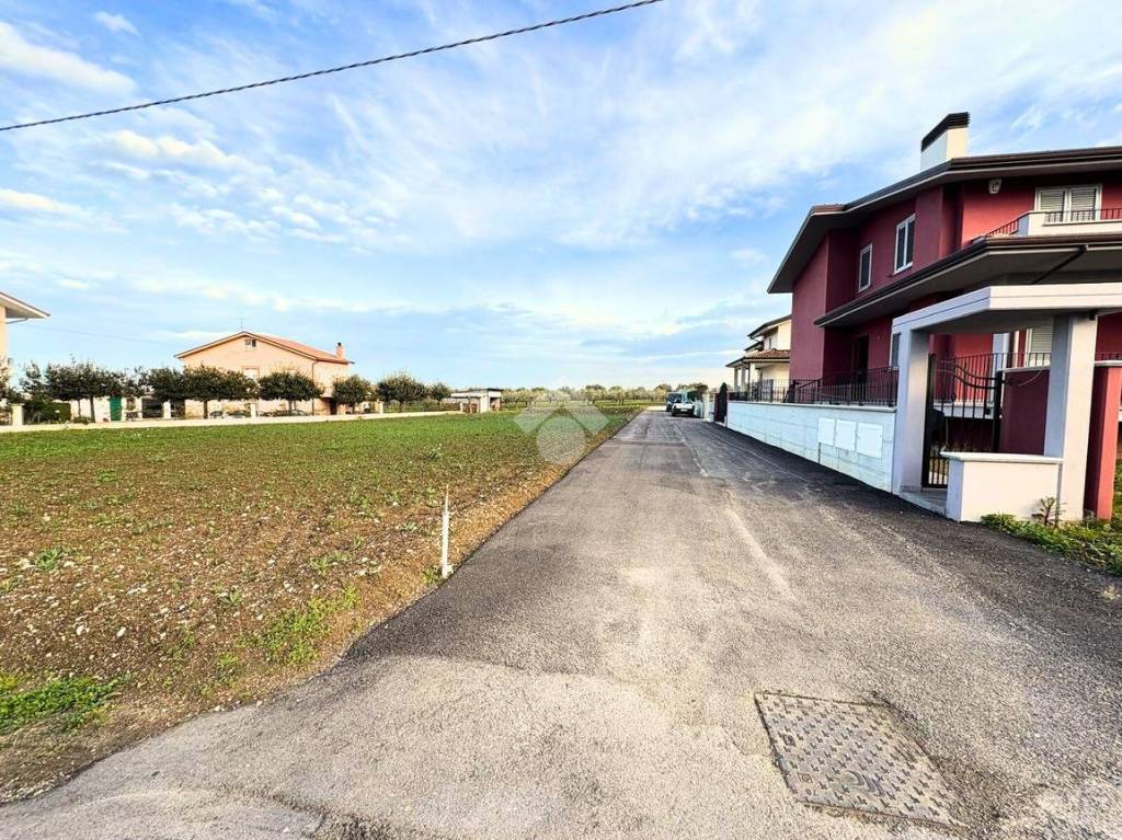 immagine annuncio 5 di 9