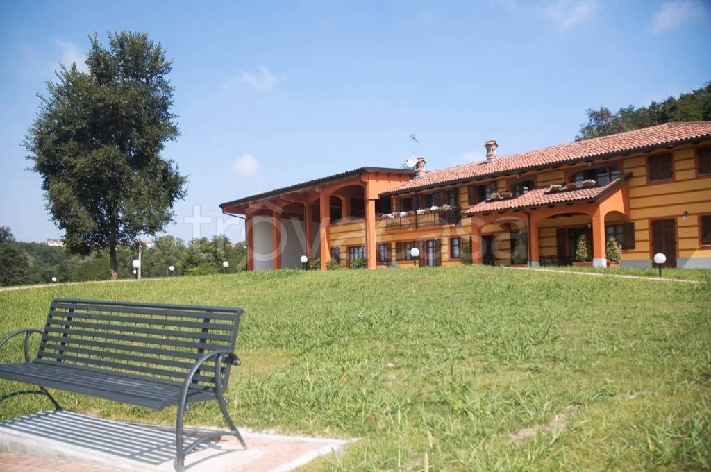immagine annuncio 9 di 15