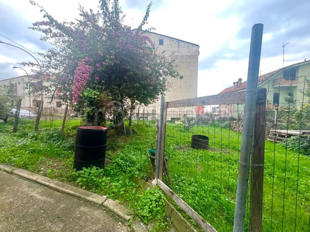 immagine annuncio 8 di 14