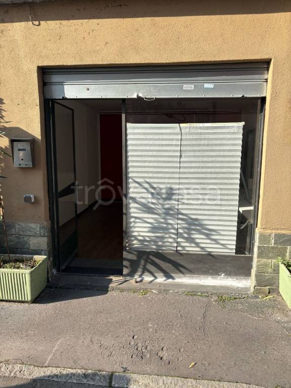 immagine annuncio 9 di 12