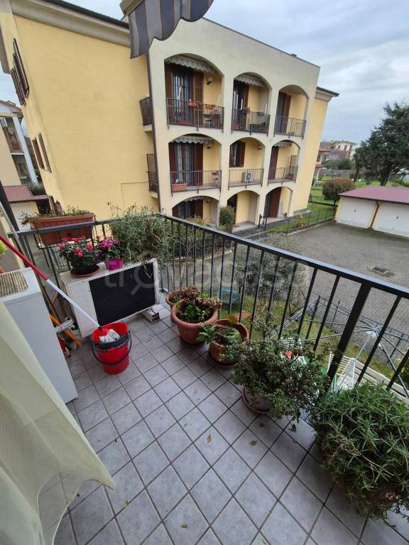 immagine annuncio 6 di 15