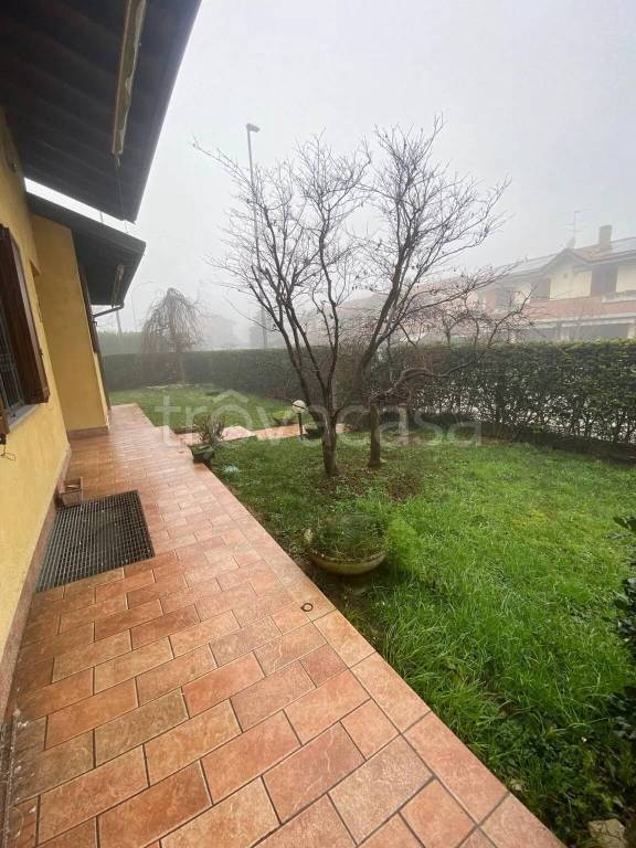 immagine annuncio 6 di 15