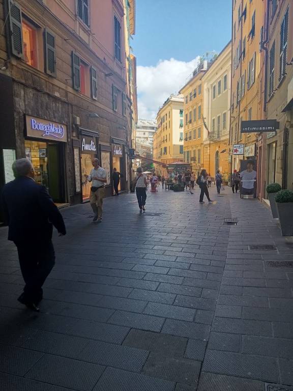 immagine annuncio 3 di 11