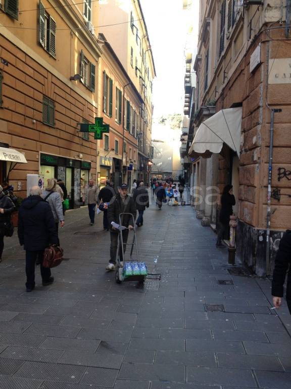 immagine annuncio 7 di 11