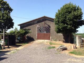 Terreno agricolo in vendita a gavello gavello via canal bianco inferiore, 0