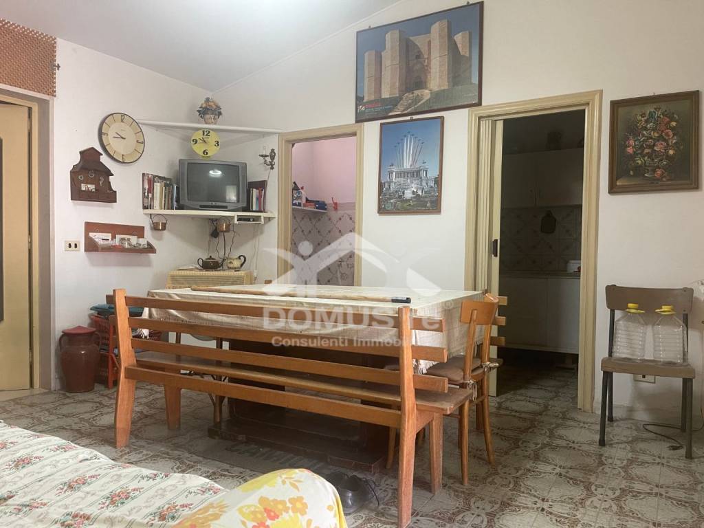 immagine annuncio 11 di 14