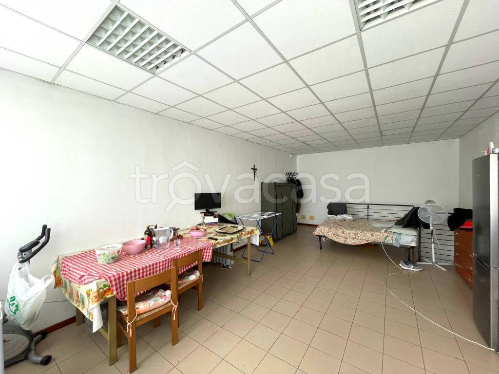 immagine annuncio 5 di 11