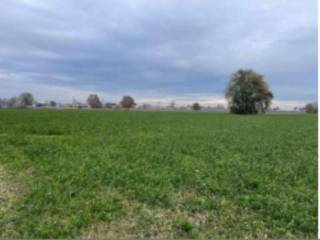 Terreno agricolo all'asta a gonzaga strada ronchi