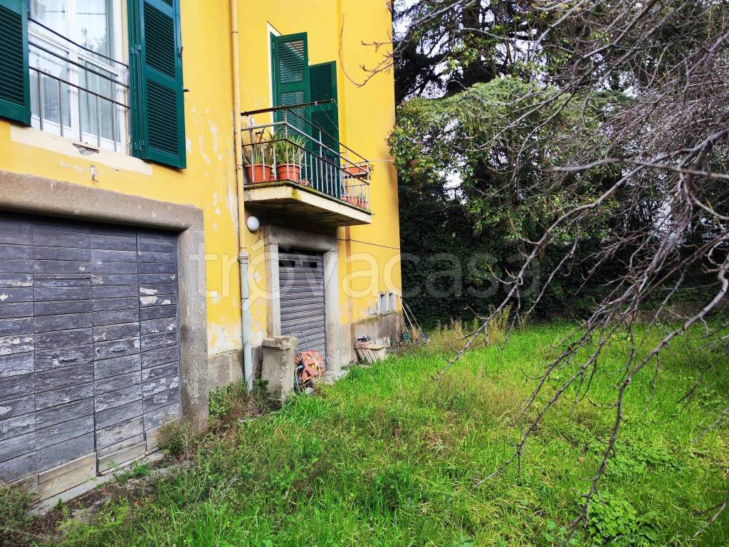 immagine annuncio 2 di 14