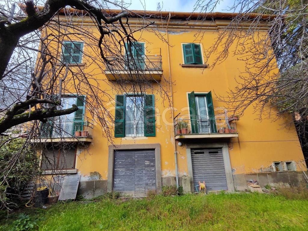 immagine annuncio 5 di 14