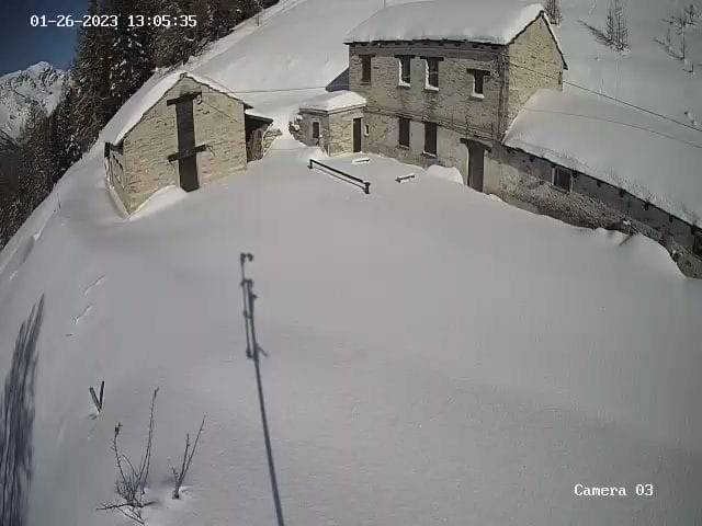immagine annuncio 11 di 15