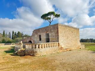 Terreno agricolo in vendita a san vito dei normanni pellegrino s.n.c.