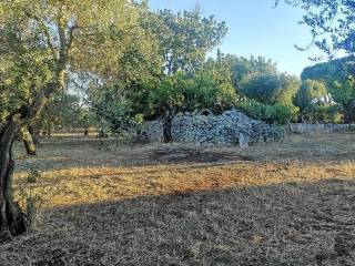 Terreno agricolo in vendita a san vito dei normanni contrada pupo