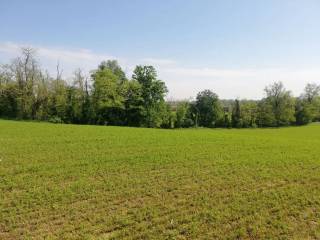 Terreno agricolo in vendita a borgonovo val tidone 