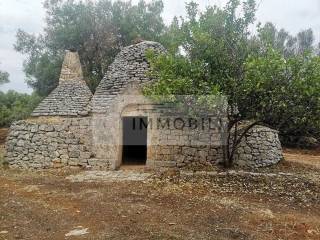 Terreno agricolo in vendita a carovigno contrada padalino s.n.c.