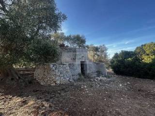 Terreno agricolo in vendita a carovigno contrada colacurto s.n.c.